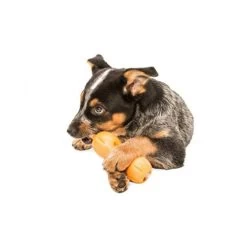 Zogoflex Qwizl 7 Zogoflex Qwizl -Beeztees Store zogoflex qwizl 136852 0500 none